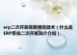erp二次開發(fā)需要哪些技術（什么是ERP系統(tǒng)二次開發(fā)簡介介紹）