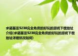 求諾基亞5230完全免費的好玩的游戲下載地址介紹(求諾基亞5230完全免費的好玩的游戲下載地址詳細情況如何)
