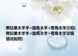 奧拉星木羊羊>圓角木羊>卷角木羊介紹(奧拉星木羊羊>圓角木羊>卷角木羊詳細(xì)情況如何)