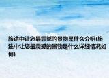 旅途中讓您最震撼的景物是什么介紹(旅途中讓您最震撼的景物是什么詳細(xì)情況如何)