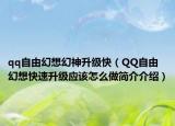 qq自由幻想幻神升級快（QQ自由幻想快速升級應(yīng)該怎么做簡介介紹）