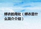 蟬衣的用處（蟬衣是什么簡(jiǎn)介介紹）