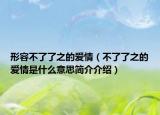 形容不了了之的愛情（不了了之的愛情是什么意思簡介介紹）