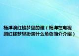 楊洋演紅樓夢里的誰（楊洋在電視劇紅樓夢里扮演什么角色簡介介紹）