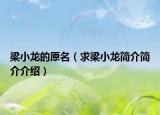 梁小龍的原名（求梁小龍簡(jiǎn)介簡(jiǎn)介介紹）