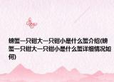 螃蟹一只鉗大一只鉗小是什么蟹介紹(螃蟹一只鉗大一只鉗小是什么蟹詳細(xì)情況如何)