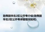 勁舞團(tuán)華北2區(qū)公開號介紹(勁舞團(tuán)華北2區(qū)公開號詳細(xì)情況如何)