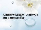 人體瞬間氣化的原理（人瞬間氣化是什么意思簡(jiǎn)介介紹）