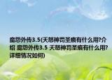 魔怨外傳3.5(天怒神罰圣痕有什么用?介紹 魔怨外傳3.5 天怒神罰圣痕有什么用?詳細(xì)情況如何)
