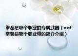 拳套是哪個(gè)職業(yè)的專屬武器（dnf拳套是哪個(gè)職業(yè)帶的簡(jiǎn)介介紹）
