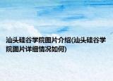 汕頭硅谷學(xué)院圖片介紹(汕頭硅谷學(xué)院圖片詳細情況如何)
