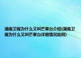 湖南衛(wèi)視為什么又叫芒果臺介紹(湖南衛(wèi)視為什么又叫芒果臺詳細(xì)情況如何)