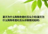 夏天為什么狗狗老是吐舌頭介紹(夏天為什么狗狗老是吐舌頭詳細(xì)情況如何)