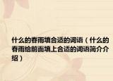 什么的春雨填合適的詞語（什么的春雨給前面填上合適的詞語簡介介紹）