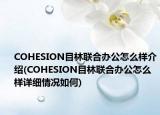 COHESION目林聯(lián)合辦公怎么樣介紹(COHESION目林聯(lián)合辦公怎么樣詳細(xì)情況如何)