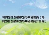 烏鴉為什么被稱為鳥中諸葛亮（烏鴉為什么被稱為鳥中諸葛簡介介紹）