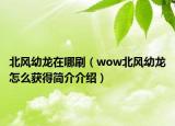 北風(fēng)幼龍?jiān)谀乃ⅲ╳ow北風(fēng)幼龍?jiān)趺传@得簡(jiǎn)介介紹）
