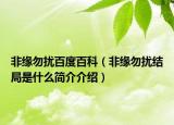 非緣勿擾百度百科（非緣勿擾結(jié)局是什么簡(jiǎn)介介紹）