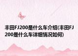 豐田FJ200是什么車介紹(豐田FJ200是什么車詳細情況如何)