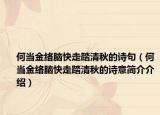 何當金絡腦快走踏清秋的詩句（何當金絡腦快走踏清秋的詩意簡介介紹）
