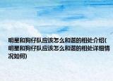明星和狗仔隊?wèi)?yīng)該怎么和諧的相處介紹(明星和狗仔隊?wèi)?yīng)該怎么和諧的相處詳細(xì)情況如何)