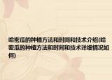 哈密瓜的種植方法和時間和技術(shù)介紹(哈密瓜的種植方法和時間和技術(shù)詳細情況如何)