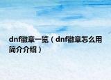 dnf徽章一覽（dnf徽章怎么用簡(jiǎn)介介紹）