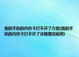 我的手機的內(nèi)存卡打不開了介紹(我的手機的內(nèi)存卡打不開了詳細情況如何)