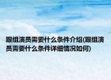 跟組演員需要什么條件介紹(跟組演員需要什么條件詳細(xì)情況如何)