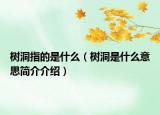 樹洞指的是什么（樹洞是什么意思簡介介紹）