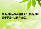 爬山虎腳的形狀是什么?（爬山虎腳的形狀是什么簡(jiǎn)介介紹）