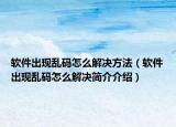 軟件出現(xiàn)亂碼怎么解決方法（軟件出現(xiàn)亂碼怎么解決簡(jiǎn)介介紹）