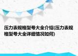 壓力表規(guī)格型號(hào)大全介紹(壓力表規(guī)格型號(hào)大全詳細(xì)情況如何)