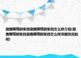 迦南橄欖樹家具迦南橄欖樹家具怎么樣介紹(迦南橄欖樹家具迦南橄欖樹家具怎么樣詳細(xì)情況如何)