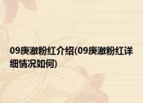 09庚澈粉紅介紹(09庚澈粉紅詳細情況如何)