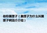 俗稱黑匣子（黑匣子為什么叫黑匣子啊簡(jiǎn)介介紹）
