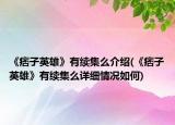 《痞子英雄》有續(xù)集么介紹(《痞子英雄》有續(xù)集么詳細(xì)情況如何)