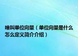 啥叫單位向量（單位向量是什么怎么定義簡介介紹）