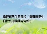 撒野蔣丞生日圖片（撒野蔣丞生日什么時候簡介介紹）