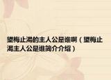 望梅止渴的主人公是誰(shuí)啊（望梅止渴主人公是誰(shuí)簡(jiǎn)介介紹）