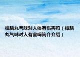 樟腦丸氣味對人體有傷害嗎（樟腦丸氣味對人有害嗎簡介介紹）
