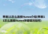 蘋果11怎么連接itunes介紹(蘋果11怎么連接itunes詳細(xì)情況如何)