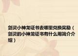 劍靈小神龍證書(shū)去哪里兌換獎(jiǎng)勵(lì)（劍靈的小神龍證書(shū)有什么用簡(jiǎn)介介紹）
