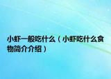 小蝦一般吃什么（小蝦吃什么食物簡(jiǎn)介介紹）