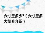 六寸是多少?（六寸是多大簡(jiǎn)介介紹）