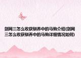 劍網(wǎng)三怎么收獲馴養(yǎng)中的馬駒介紹(劍網(wǎng)三怎么收獲馴養(yǎng)中的馬駒詳細情況如何)