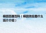 模因百度百科（模因效應(yīng)是什么簡(jiǎn)介介紹）