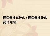 西洋參補(bǔ)充什么（西洋參補(bǔ)什么簡(jiǎn)介介紹）