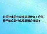 亡羊補(bǔ)牢的亡是意思是什么（亡羊補(bǔ)牢的亡是什么意思簡(jiǎn)介介紹）