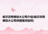 哈爾濱有哪些大公司介紹(哈爾濱有哪些大公司詳細(xì)情況如何)